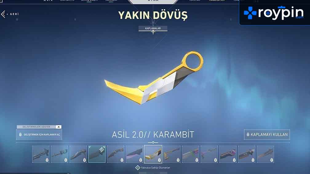 Valorant Asil Karambit Kaç VP