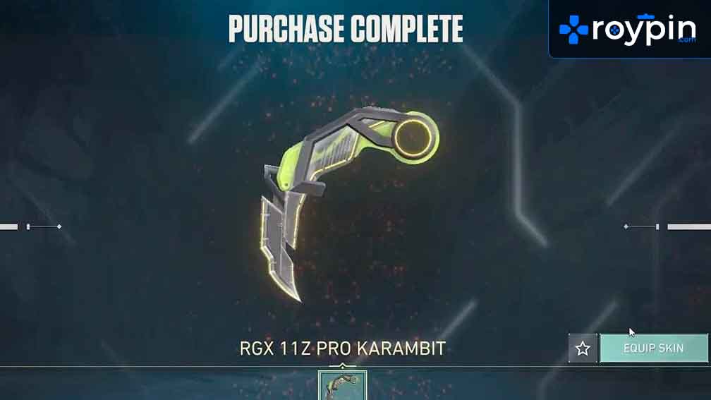 Valorant RGX 11Z Pro Seti Kaç VP